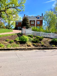 Lafayette Avenue, Clifton, Cincinnati, OH 