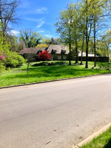 Lafayette Avenue, Clifton, Cincinnati, OH 