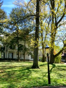 Lafayette Avenue, Clifton, Cincinnati, OH 