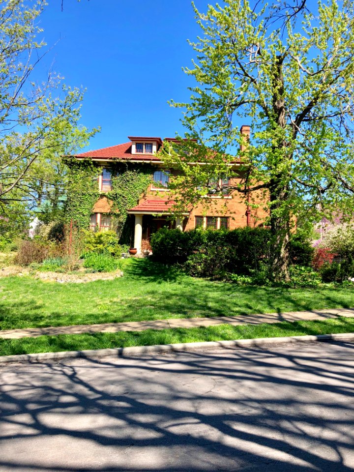 Rose Hill Avenue, North Avondale, Cincinnati, OH 