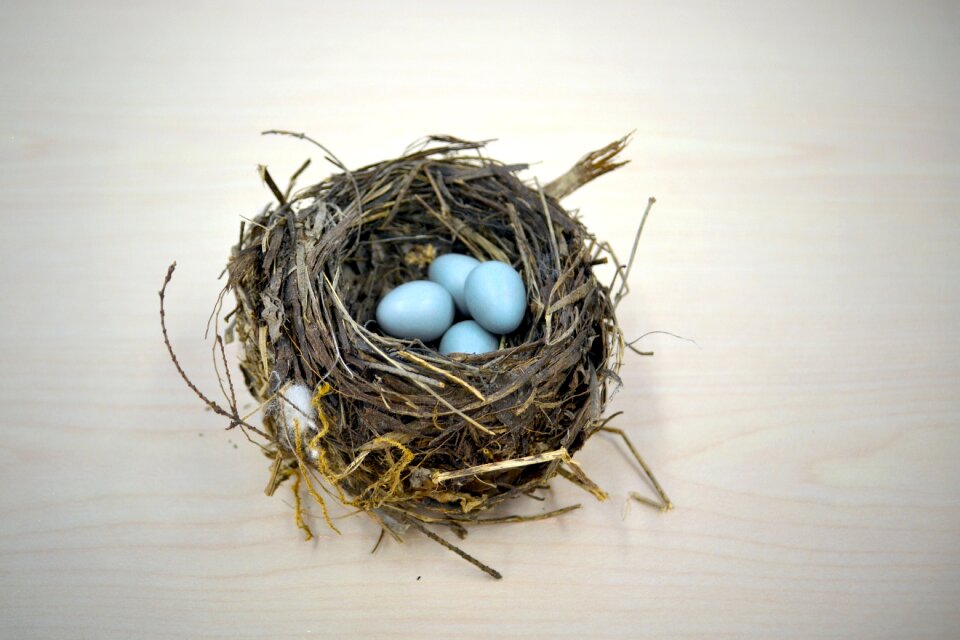 Thrush saving save for later