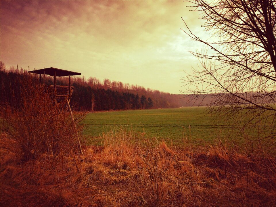 Delight wild morgenstimmung