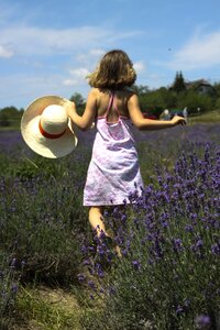 Little girl lavender field