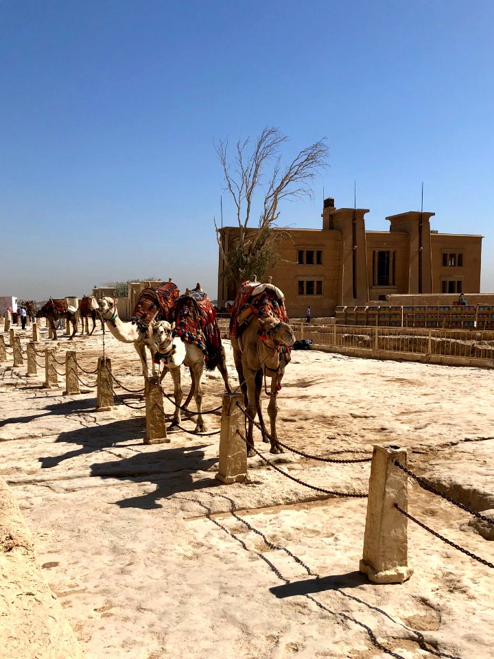 Vacant Building and Camel Rides, Great Pyramid, Giza, GG, … 