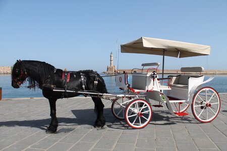 Horse car trip