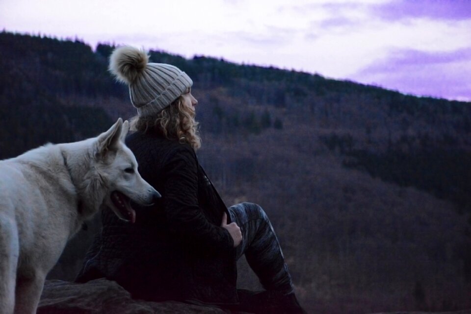 White dog one mountains