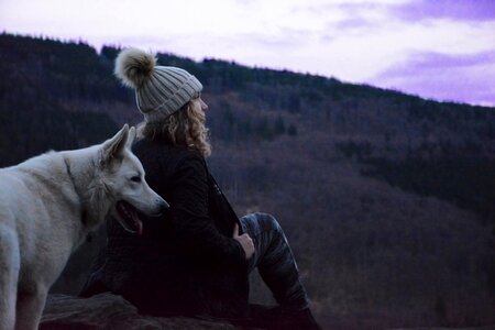White dog one mountains