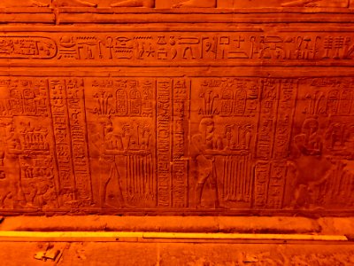 Wall Carvings, Kom Ombo Temple, Kom Ombo, AG, EGY 