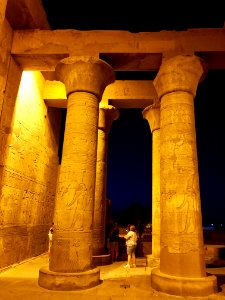 Columns, Kom Ombo Temple, Kom Ombo, AG, EGY 