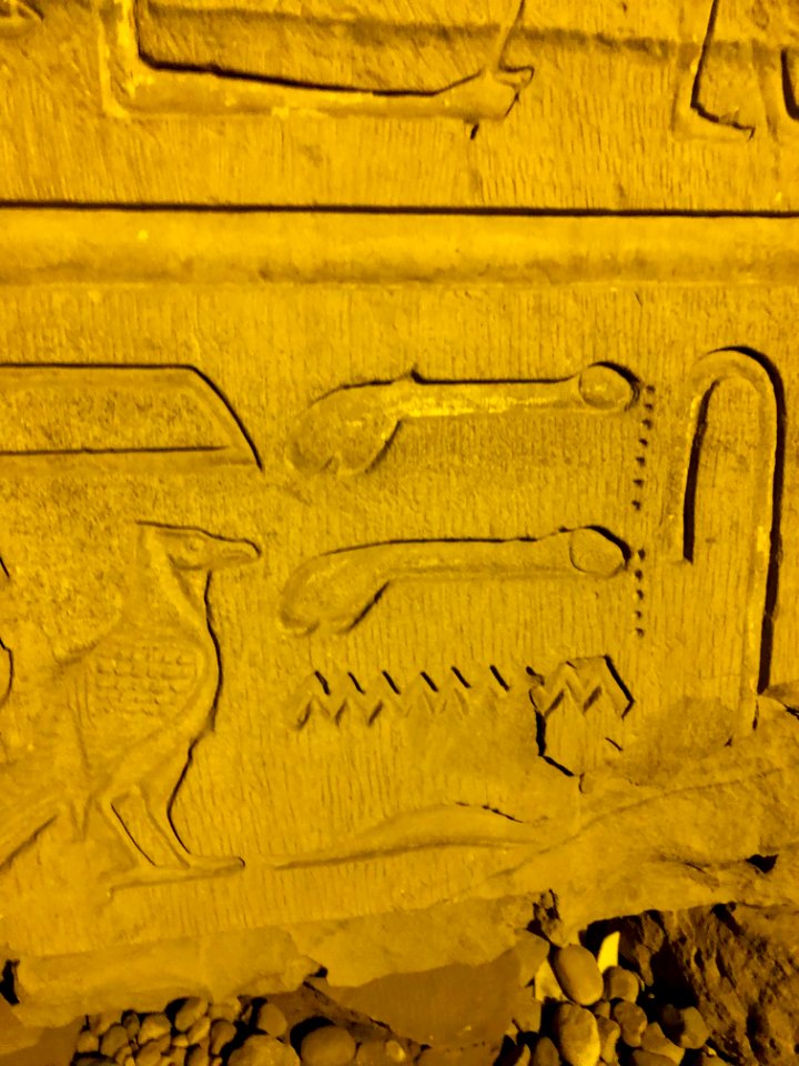 Carved Stone, Kom Ombo Temple, Kom Ombo, AG, EGY 
