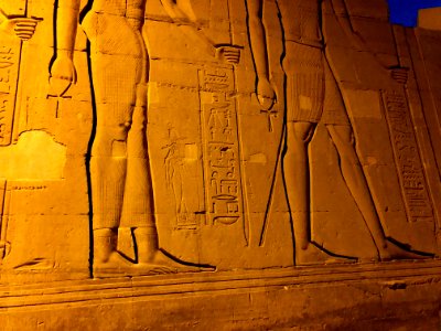 Wall Carvings, Kom Ombo Temple, Kom Ombo, AG, EGY 