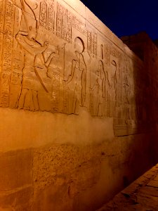 Wall Carvings, Kom Ombo Temple, Kom Ombo, AG, EGY 