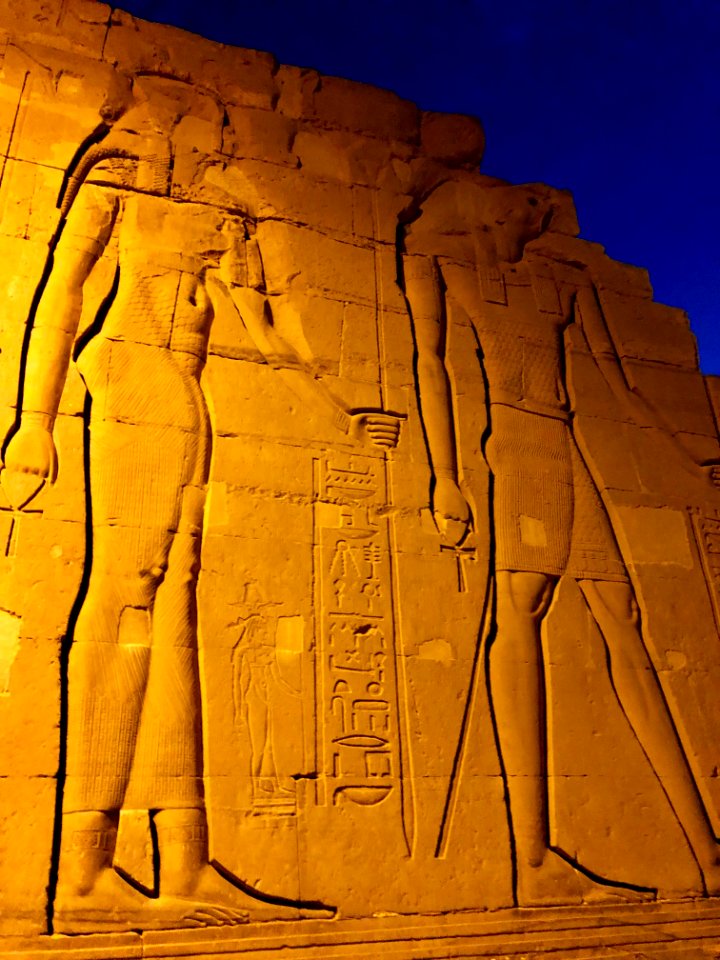 Wall Carvings, Kom Ombo Temple, Kom Ombo, AG, EGY 