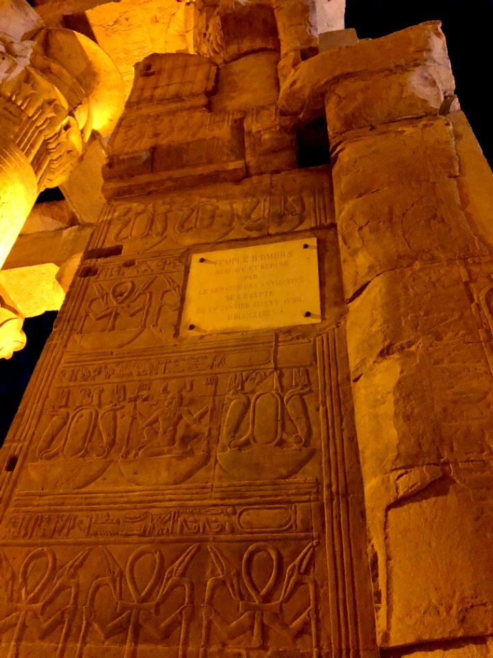 Wall Carvings, Kom Ombo Temple, Kom Ombo, AG, EGY 