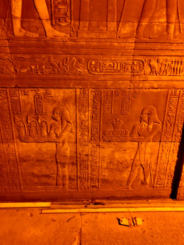 Wall Carvings, Kom Ombo Temple, Kom Ombo, AG, EGY 