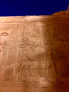 Wall Carvings, Kom Ombo Temple, Kom Ombo, AG, EGY 