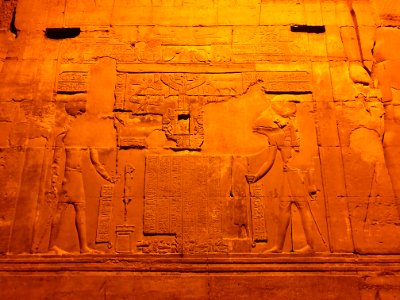 Wall Carvings, Kom Ombo Temple, Kom Ombo, AG, EGY 