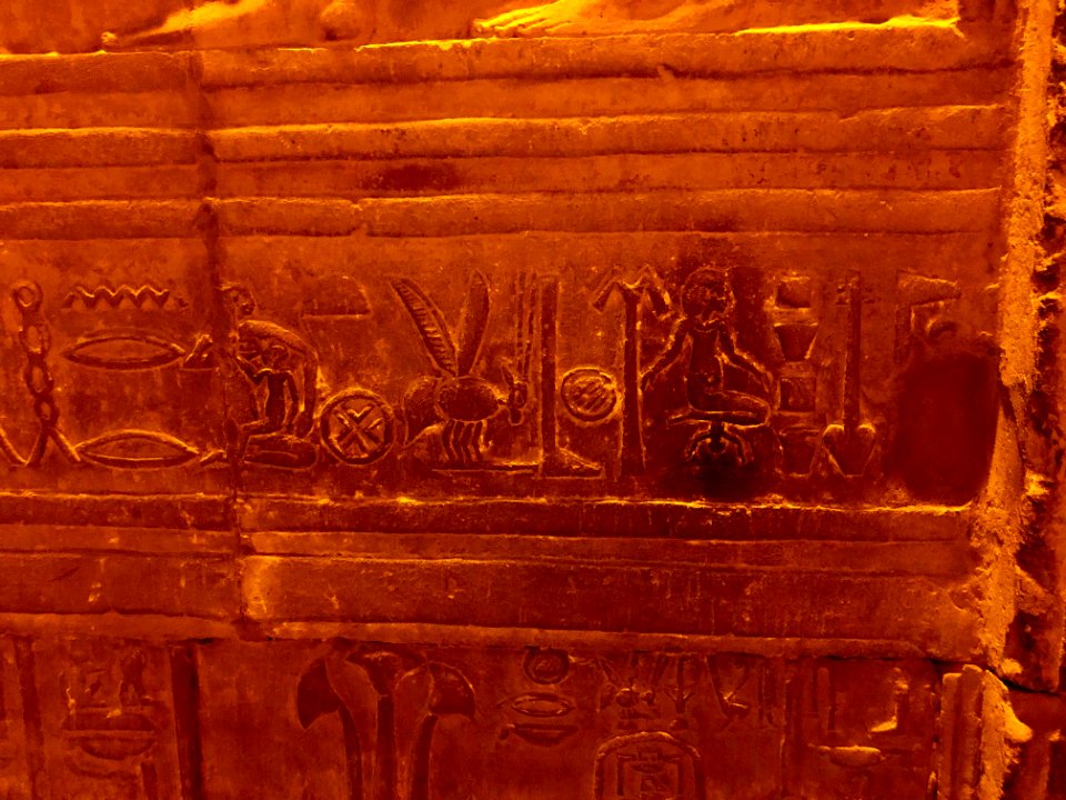 Wall Carvings, Kom Ombo Temple, Kom Ombo, AG, EGY 
