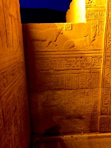 Wall Carvings, Kom Ombo Temple, Kom Ombo, AG, EGY 