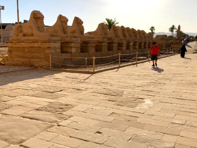 Allée des Sphinx, Karnak Temple, Luxor, LG, EGY 