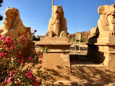 Allée des Sphinx, Karnak Temple, Luxor, LG, EGY 