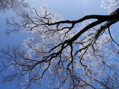 Blue sky silence tranquility