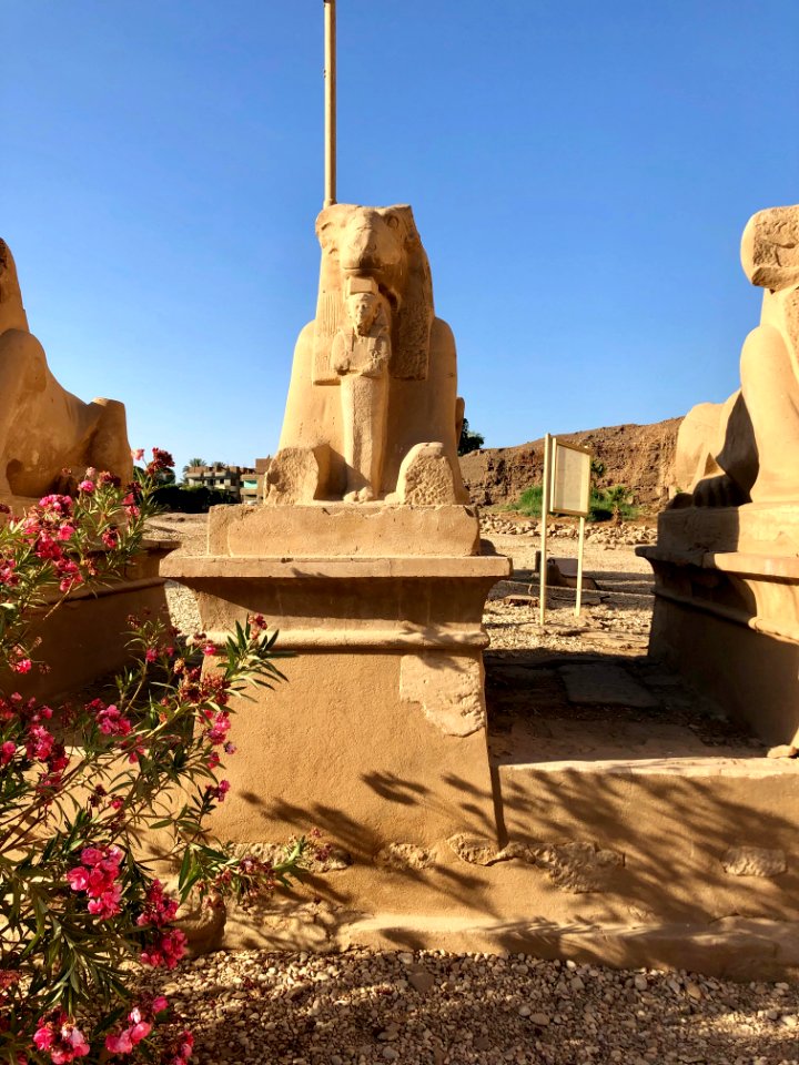 Allée des Sphinx, Karnak Temple, Luxor, LG, EGY 