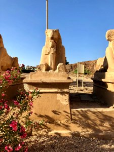 Allée des Sphinx, Karnak Temple, Luxor, LG, EGY 