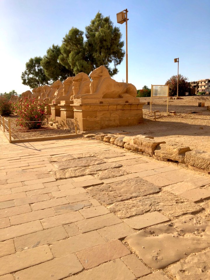 Allée des Sphinx, Karnak Temple, Luxor, LG, EGY 