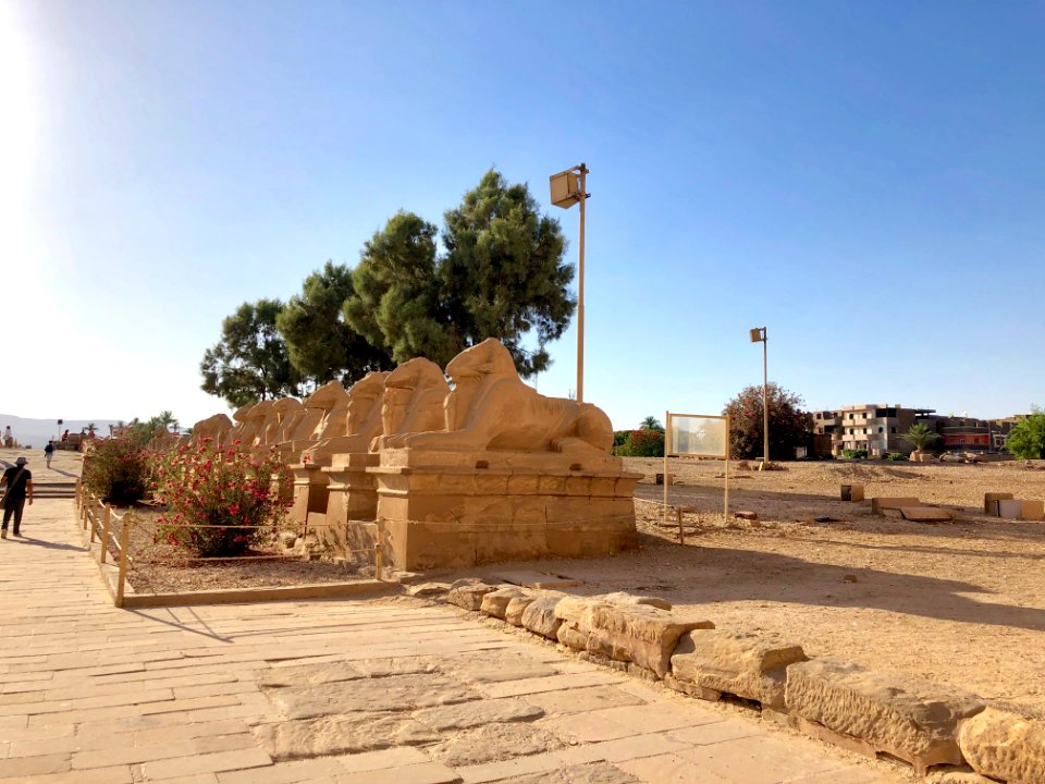 Allée des Sphinx, Karnak Temple, Luxor, LG, EGY 