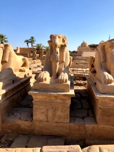 Allée des Sphinx, Karnak Temple, Luxor, LG, EGY 
