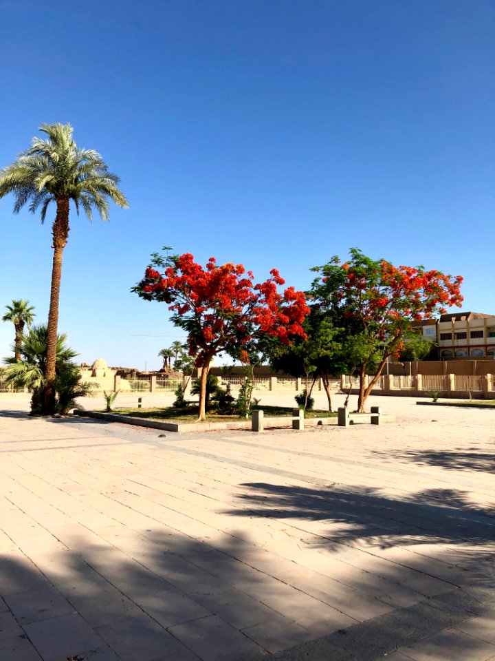 Entrance Plaza, Karnak Temple, Luxor, LG, EGY 