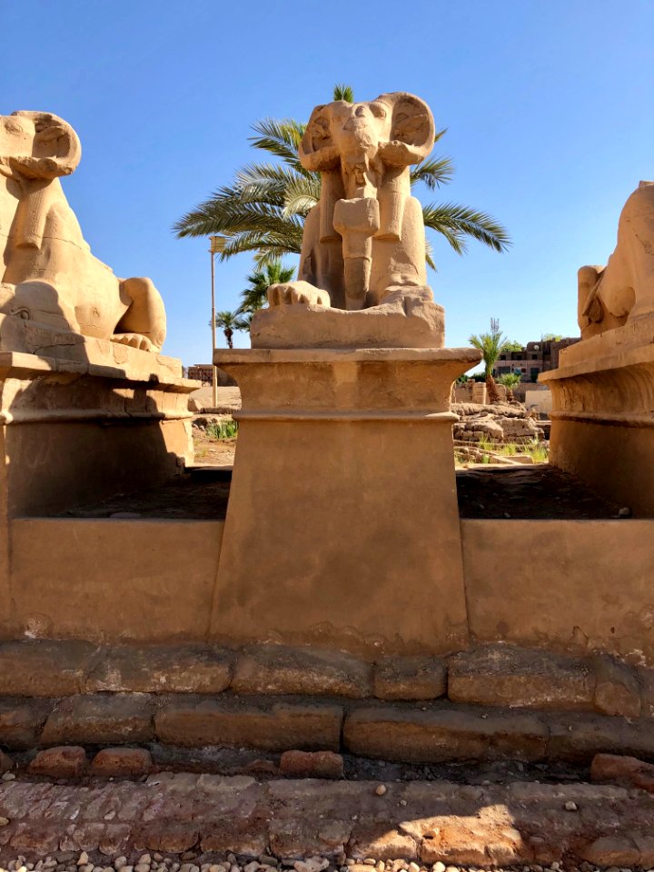 Allée des Sphinx, Karnak Temple, Luxor, LG, EGY 