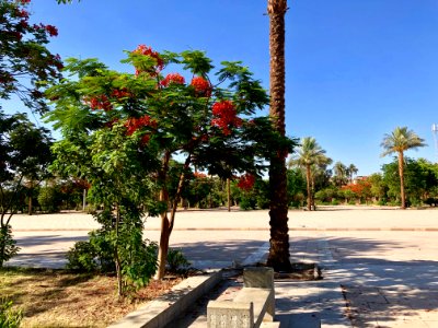 Entrance Plaza, Karnak Temple, Luxor, LG, EGY 