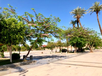 Entrance Plaza, Karnak Temple, Luxor, LG, EGY 