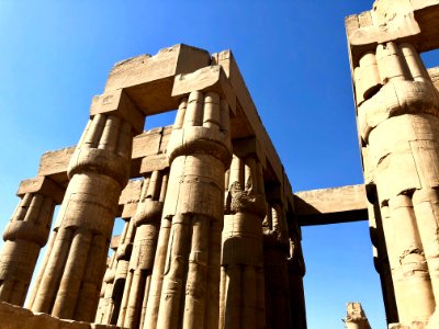Court of Amenophis III, Luxor Temple, Luxor, LG, EGY 