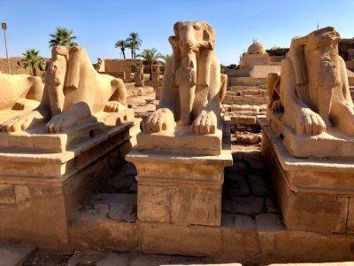 Allée des Sphinx, Karnak Temple, Luxor, LG, EGY 