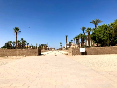 Avenue of the Sphinxes, Luxor Temple, Luxor, LG, EGY 