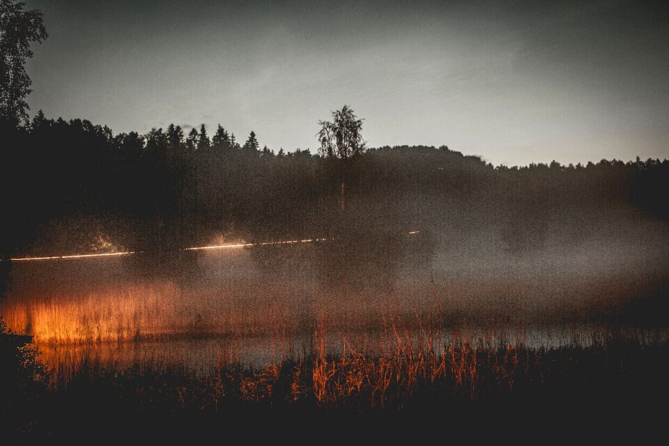 Forest mist fog photo