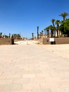 Avenue of the Sphinxes, Luxor Temple, Luxor, LG, EGY 