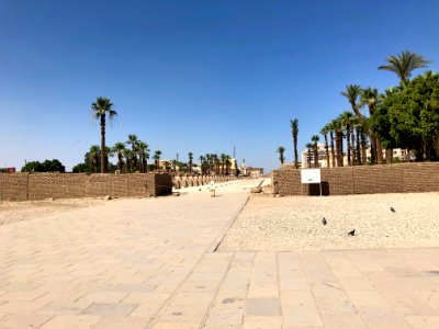 Avenue of the Sphinxes, Luxor Temple, Luxor, LG, EGY 