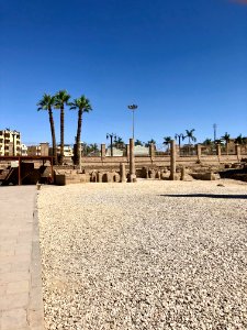Luxor Temple, Luxor, LG, EGY 