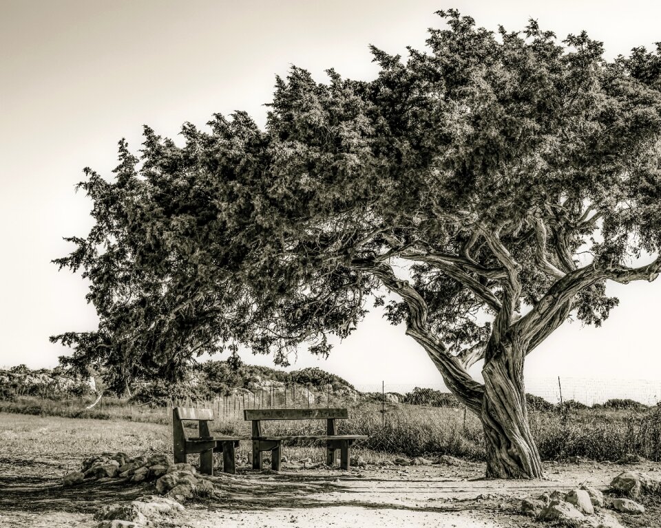 Lonely landscape nature