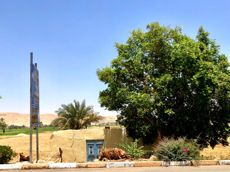 Al Tmsalyn, Luxor, LG, EGY 