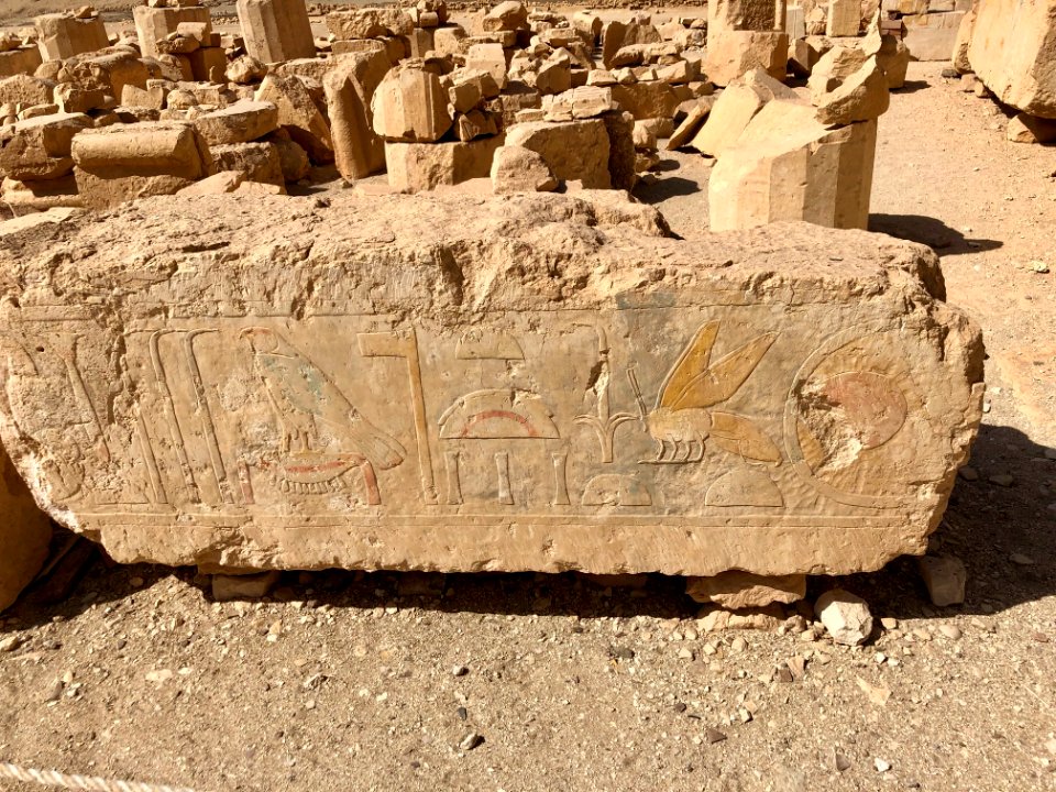 Carved Stone Remnants, Mortuary Temple of Hatshepsut, Luxo… 