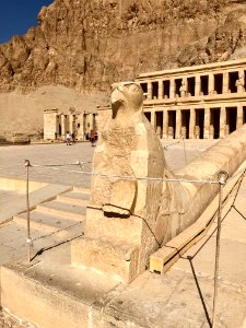 Horus Statue, Mortuary Temple of Hatshepsut, Luxor, LG, EG… 