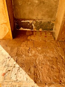 Punt Colonnade, Mortuary Temple of Hatshepsut, Luxor, LG, … 