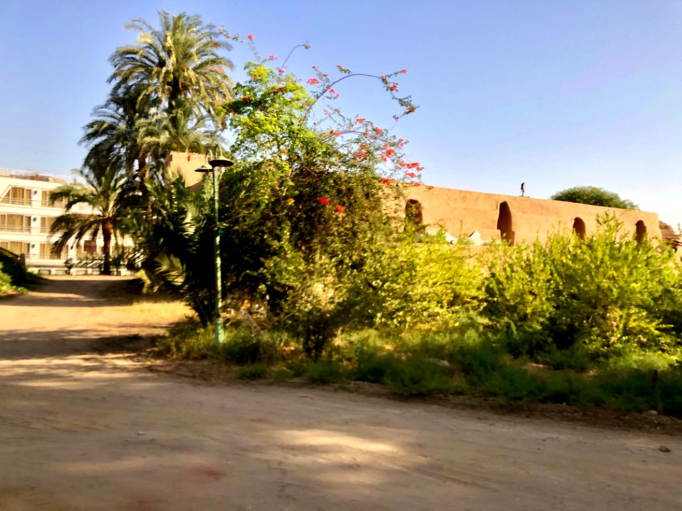 Old Factory Ruins, Luxor, LG, EGY 