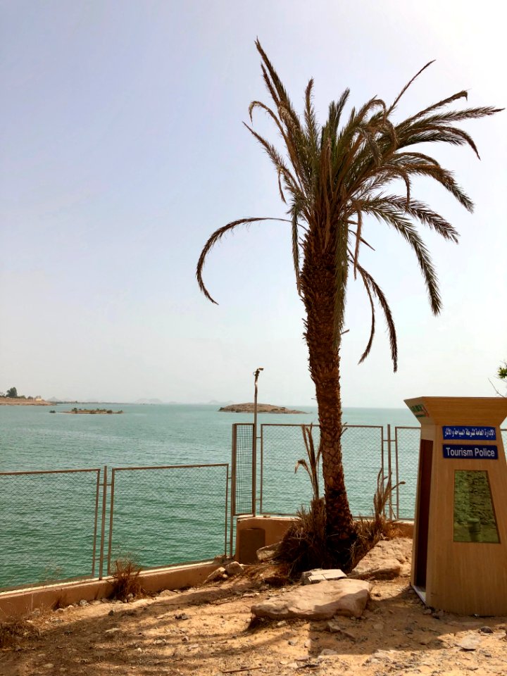 Lake Nasser, Abu Simbel, AG, EGY 