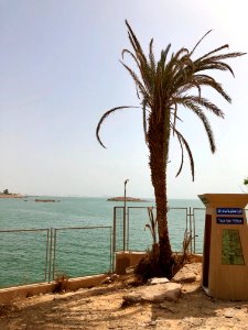 Lake Nasser, Abu Simbel, AG, EGY 